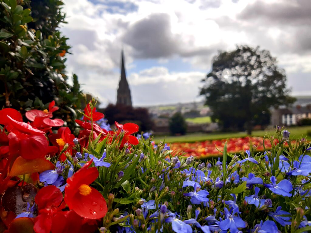 Flowers in Brooke Park Derry by Renato Guiso